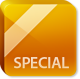 Specials Flag
